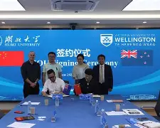 新西兰篮球联赛：惠灵顿反击成功，胜券在握()