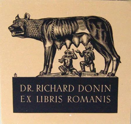 东亚豪强再掀战火：足球领域传奇故事续写(港片集齐五京打造顶级豪强笔趣阁)