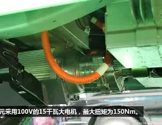 黑贝尔兆登巴伯斯马，谁将成贝登梅尔夺冠(贝尔梅尔是哪一年死的)