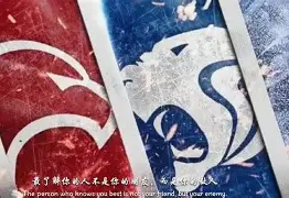 上海申花惊喜收获胜利，震撼瞩目战绩()