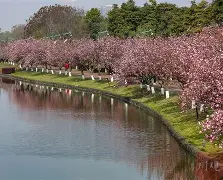 首次闯入前四的青白江恒昌信心满满，不惧排名压力()